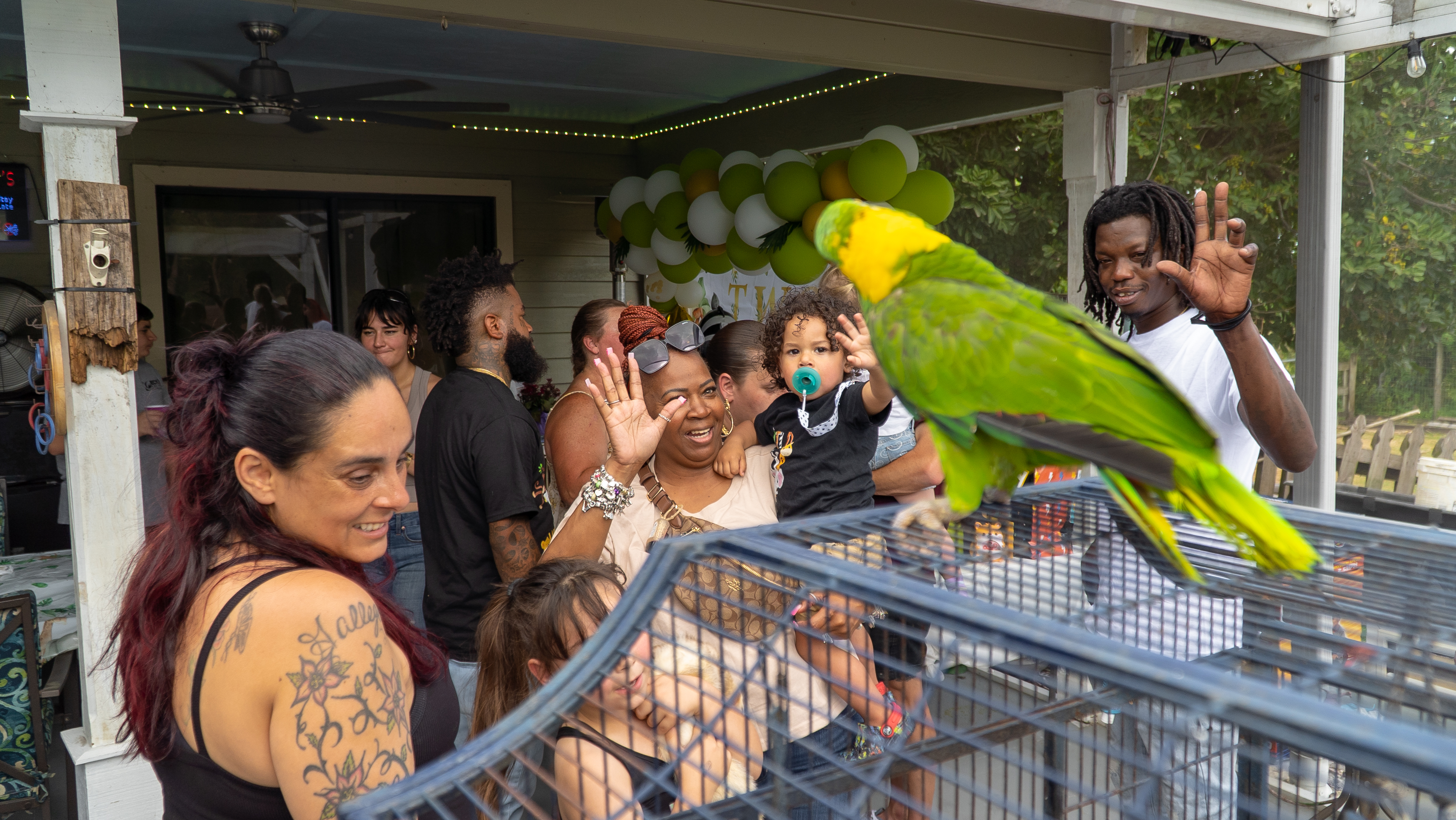 Meet Our Animals – Florida Madagascar Zoo